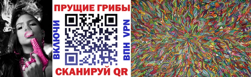Купить  Дедовск  Галлюциногенные грибы Psilocybe 